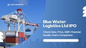 Read more about the article Blue Water Logistics Ltd IPO – Check Date, Price, GMP, Financial Details, Peers Comparison