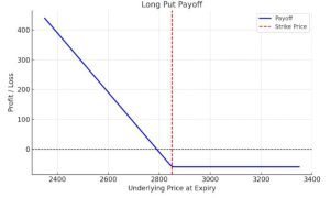 Long Put Payoff Graph